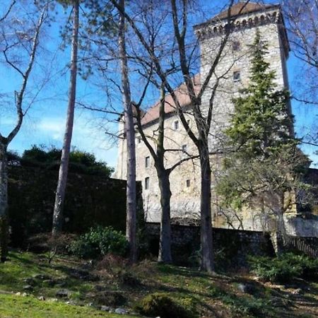 Lodge & Castle - Vue Chateau - Climatisation - Majord'Home Annecy Ngoại thất bức ảnh